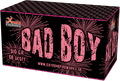 Bad Boy