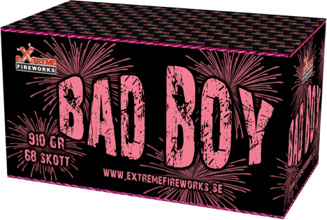 Bad Boy